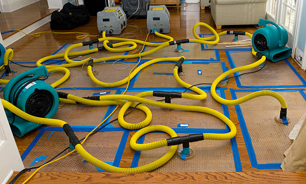 Professional Sewage Cleanup technician working in Monticello, WI